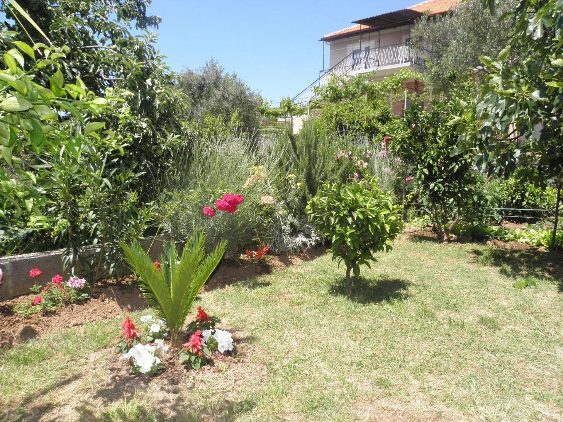 Apartments Zvone - 100 M From Sea Bibinje Exterior foto